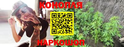 jwh Будённовск