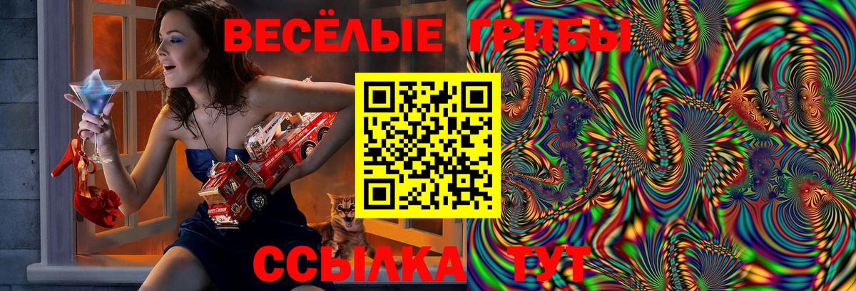 Галлюциногенные грибы мицелий Тольятти