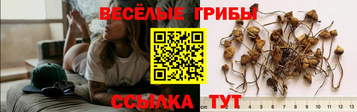 Галлюциногенные грибы мухоморы  Тольятти  закладки  Галлюциногенные грибы мухоморы 